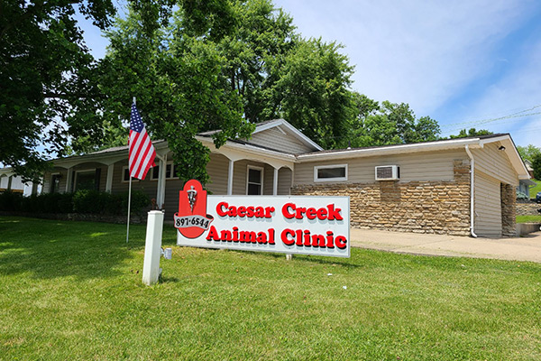 Caesar Creek Animal Clinic Waynesville